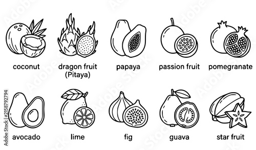 Tropical Exotic Fruit Outline Icons Vector Collection