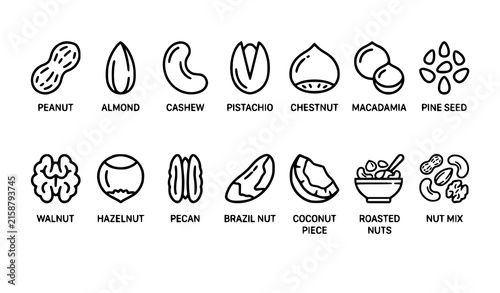Healthy nuts outline icon collection with almond peanut cashew pistachio and macadamia editable vector