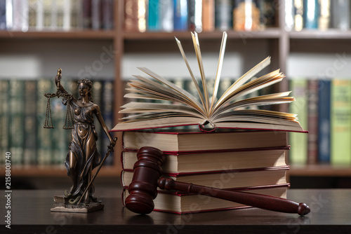 A judge's gavel and a figure of Themis against a background of books and bookshelves in an office.