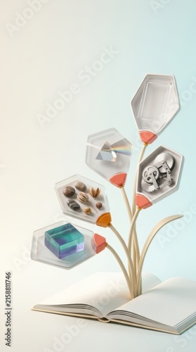 Conceptual flower representing learning tools and inclusive education