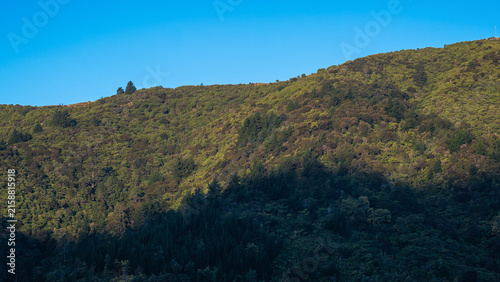Clear blue sky above a high hill on the South Island in New Zealand.