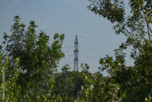 Photography Power pylon rises over the bushes in a far