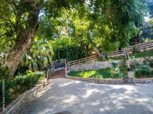 Scenic stone staircase leads through a lush green public park featuring towering trees with bright sunlight filtering through leaves onto the weathered paved walking path