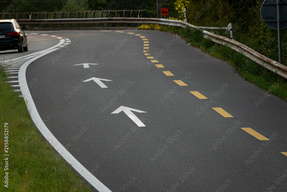 Obraz premium Winding Mountain Road Through a Green Valley.