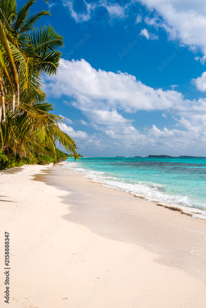 Fototapeta premium Palm trees fringe a sandy tropical beach alongside turquoise ocean waves on Dhigurah island in Maldives under a cloudy sky.
