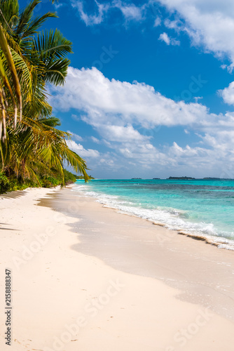 Palm trees fringe a sandy tropical beach alongside turquoise ocean waves on Dhigurah island in Maldives under a cloudy sky.