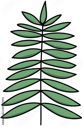 Canvas Print Symmetrical green fern frond with long pointed pinnate leaves.
