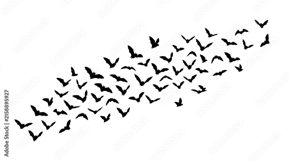Naklejka premium Halloween Silhouette flying birds flock flying, black simple doodle style flock of birds, realistic outline silhouette wild wild goose bird swarming set isolated on White Background vector