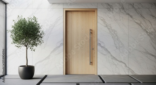Modern wood door with minimalist design and marble wall interior