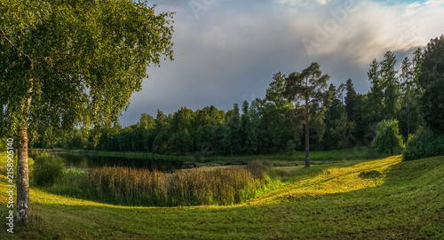 Bild auf Leinwand Sunny summer landscape with lake and birch tree in Priorat Park, Gatchina, Russia