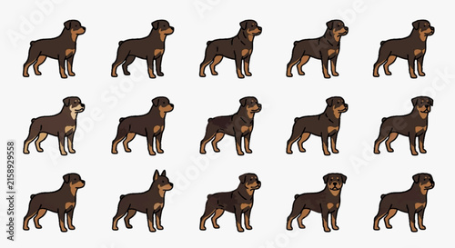 Collection of fifteen Rottweiler dog illustrations arranged in a three by five grid. Each canine features standard black and tan markings in a profile standing pose on a white background.