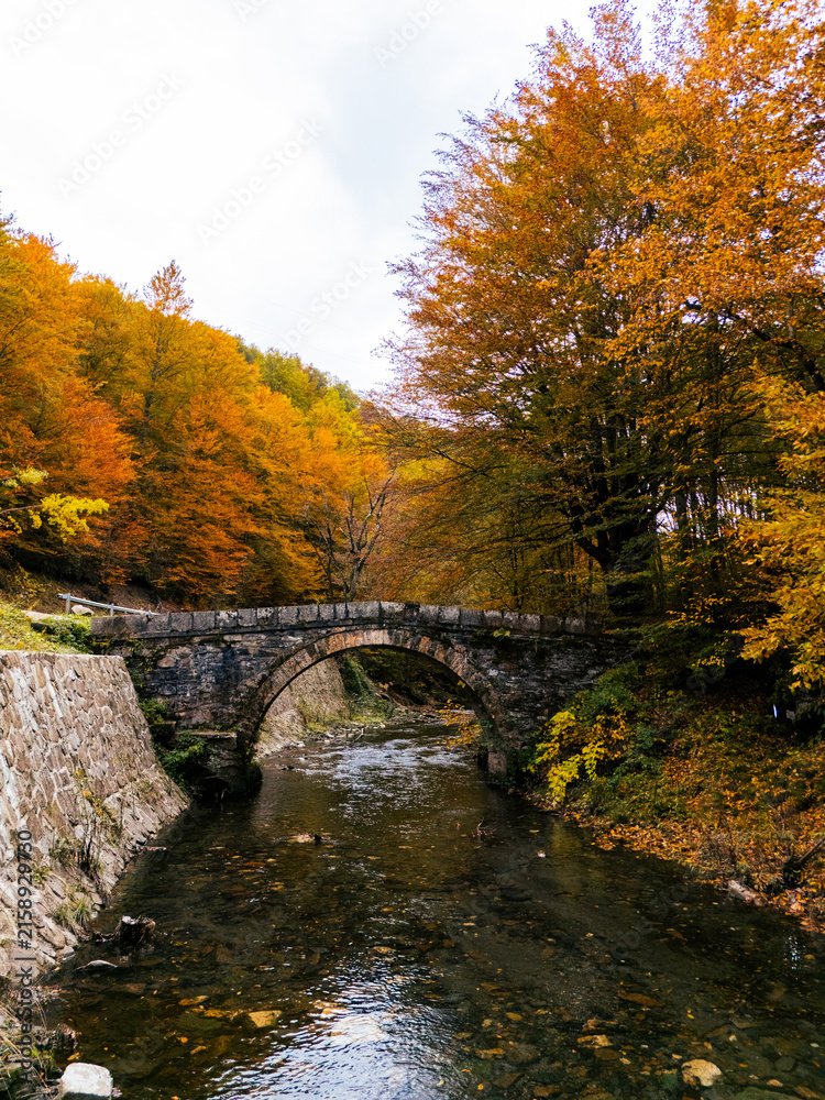 Fototapeta premium Aerial view of an old stone arch bridge over a clear mountain river surrounded by vibrant autumn foliage