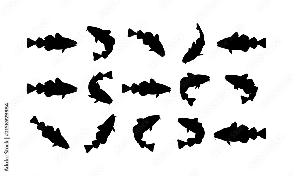 Fototapeta premium Collection of black silhouettes showing various catfish poses and angles