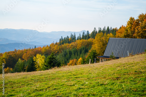 Принти на полотні Mountain chalet on a green hillside with scenic views of colorful fall foliage a