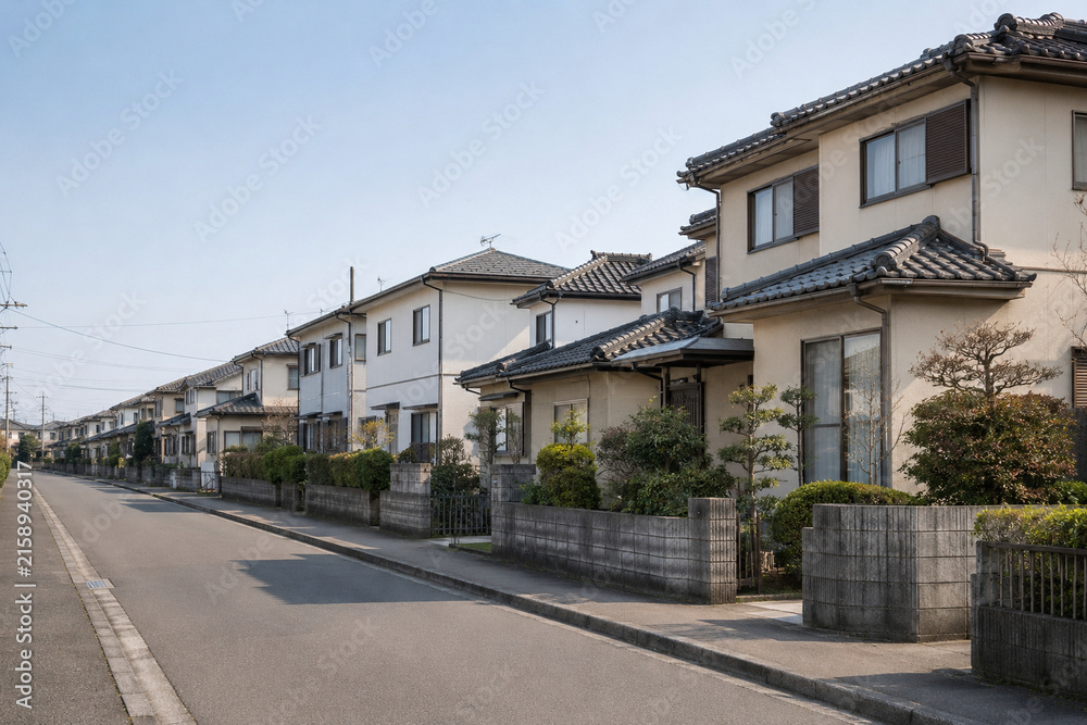 Fototapeta premium Long quiet street lined with traditional detached houses