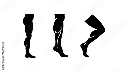 Human Leg Muscles Anatomy and Bodybuilding Poses Icons