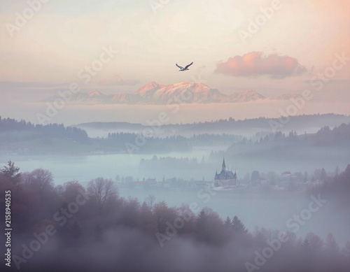 fog 