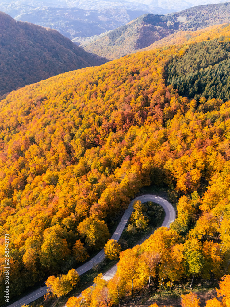 Fototapeta premium Drone perspective of a winding serpentine forest road during peak autumn foliage season