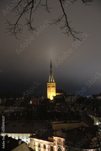 illuminated St. Olaf's Church spire in Tallinn Old Town at night, framed by bare tree branches