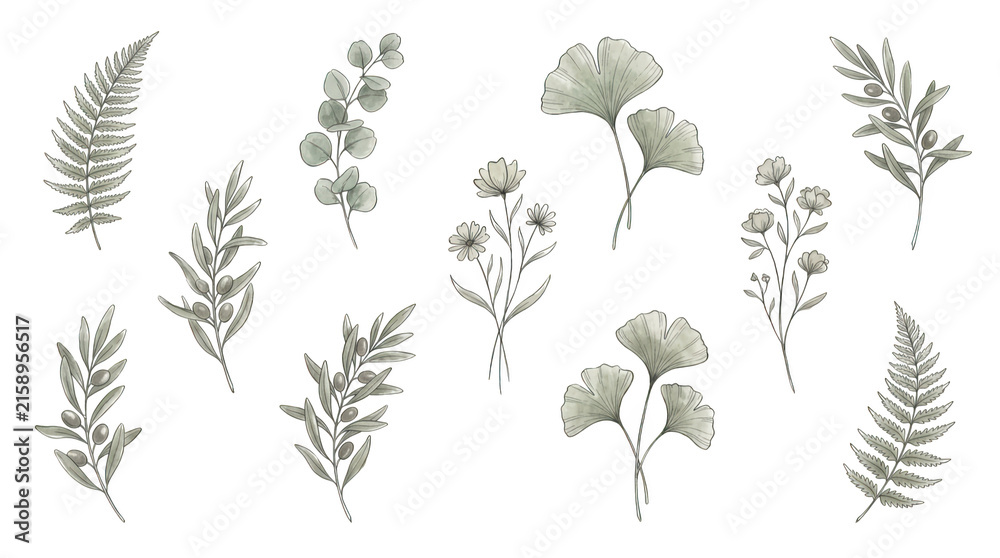 Naklejka premium Set of handdrawn botanical elements isolated on transparent background