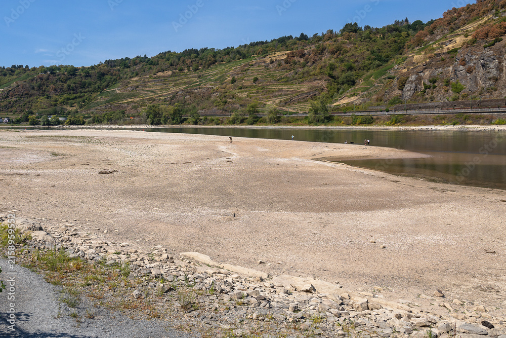 Fototapeta premium Der Rhein führt nach langer Dürrephase extremes Niedrigwasser. Weite Sand- und Kiesbänke liegen trocken.