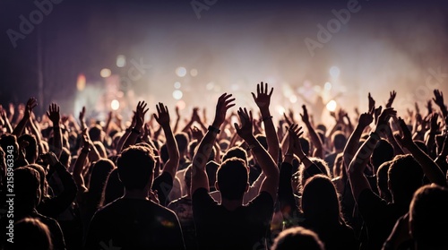 Enthusiastic Spectators Gathering at a Live Entertainment Event