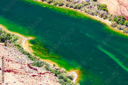 Emerald river bend along a desert canyon shoreline