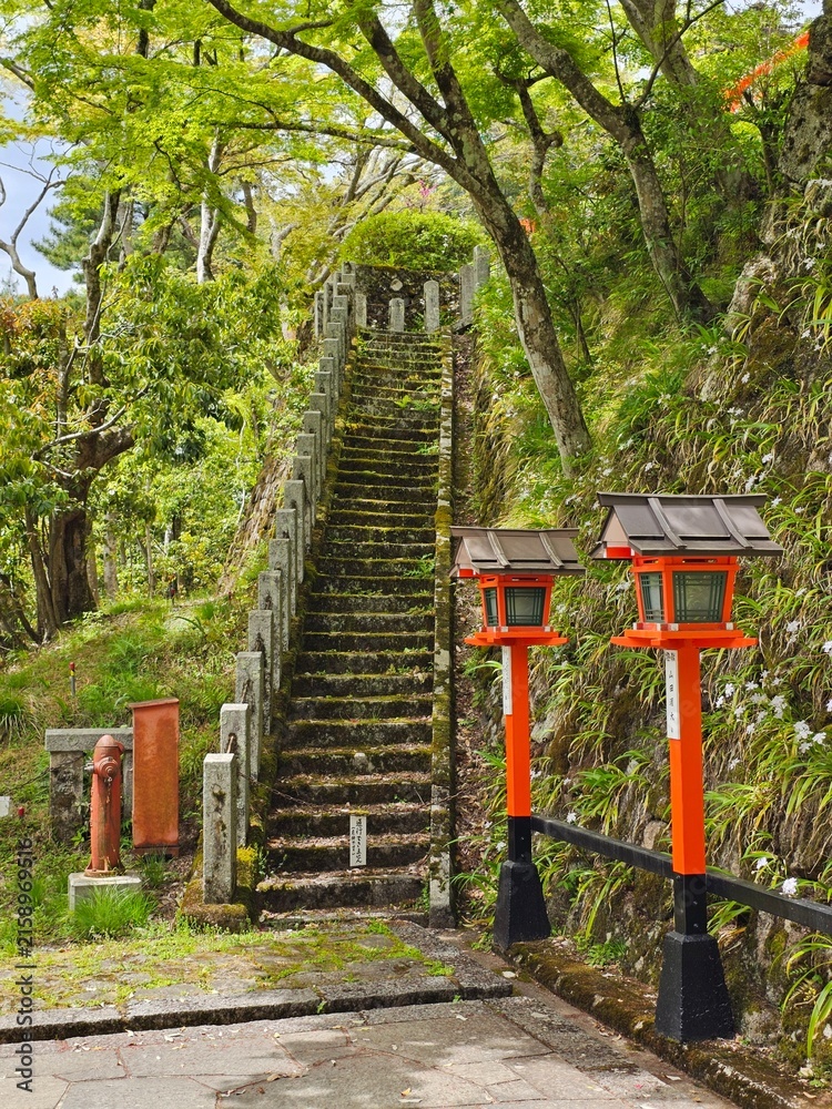 Fototapeta premium Moss covered stone staircase with red shrine lanterns in Kyoto Japan