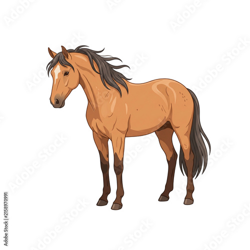 Brown Horse Clipart Isolated with Flowing Dark Mane and Natural Standing Pose