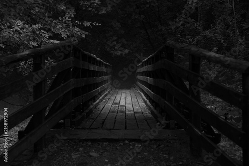 Foto dark moody wooden footbridge in dense forest with surrounding trees and shadows