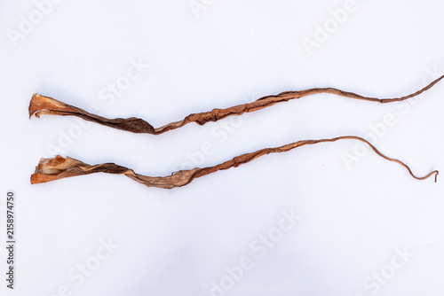 Dried Taro Stems as Natural Material for Traditional Handicrafts, Dry Taro Stalk with Rustic Natural Texture for Craft Material, Dried leaves