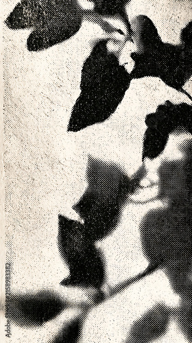 Abstract black and white plant shadows on textured vintage wall