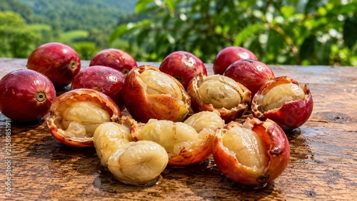 Fresh Coffee Seeds Extracted from Ripe Coffee Cherries