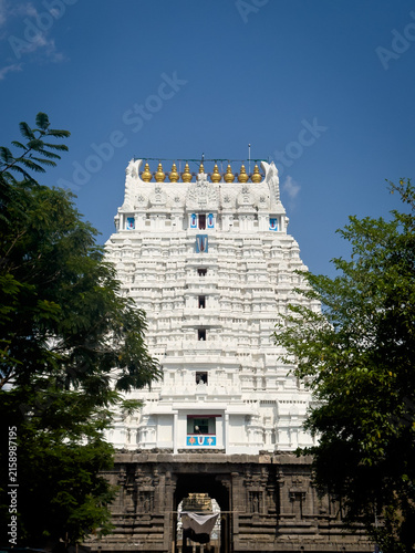 White tiered gopuram tower framed by green trees above the stone entrance at Varadharaja Perumal Temple, Kanchipuram, Tamil Nadu, India