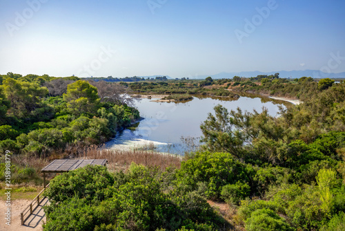 A lagoon with birds at Raco de l'Olla, Albufera Natural Park, Valencia, Spain