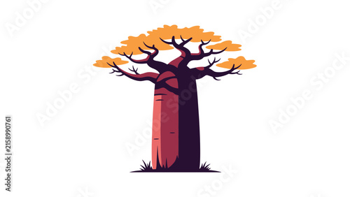 Iconic african baobab tree with massive trunk and beautiful autumn orange leaves isolated on white background.