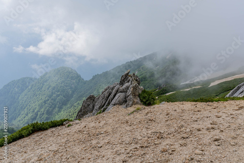Weathered granite rock outcrop on misty mountain ridge, Japan