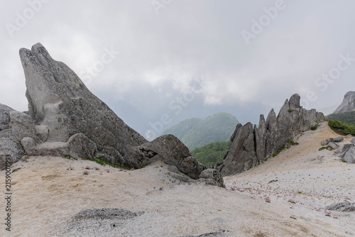 Wolf-shaped granite rock spires with alpine flowers on white sand ridge