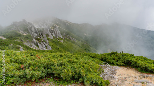 Panoramic misty ridge with granite pinnacles and dwarf pine, Japan