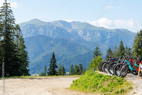 Rental Mountain Bikes Parked with Alpine View
