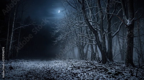 Dark, misty, eerie fantasy halloween forest panorama at night, with trees and ground under a cold blue crescent moon.
