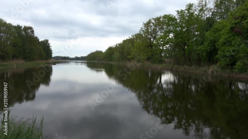 reflection of trees in water