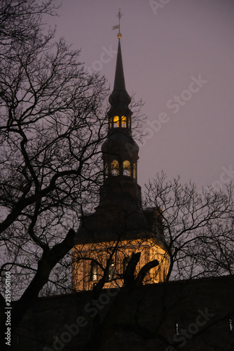 illuminated baroque clock tower and spire of St. Mary's Cathedral (Toomkirik) framed by bare tree branches in Tallinn