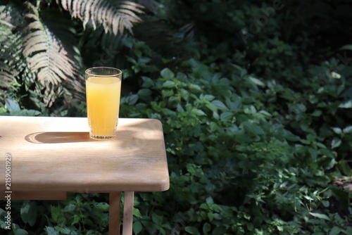 Glass of orange juice on a wood table in the garden with a space for writing. Fruit juice in summer with a green background and vegetation. Refreshment and natural juice in orange color.