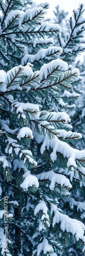 Snow-covered fir tree branches gently swaying in winter breeze, outdoors, scenery