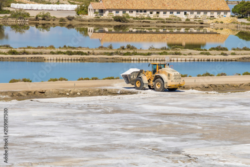 Canvastavla Salins d'Aigues-Mortes, salt production, saltworks, salt industry, industrial landscape, industrial heritage, salt harvesting, Camargue, France