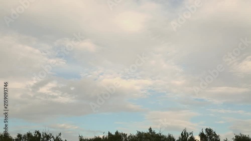 Cloudscape in clear blue evening sky under the summer green trees background. Timelapse natural colors video