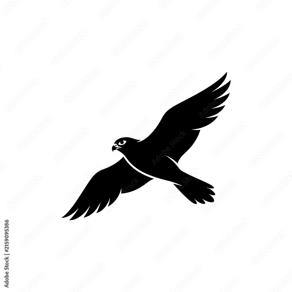 Fototapeta premium Black silhouette of a falcon in flight with wings spread wide, isolated on a white background, of a predatory bird in motion