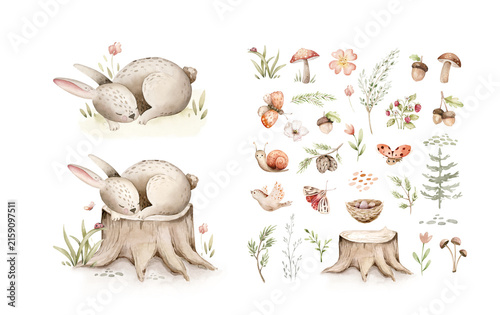 Watercolor cute sleeping baby bunny animal. Woodland nursery isolated whimsical rabbit illustration soft pastel for children. watercolour stump and acorn forest drawing with floral elements. 