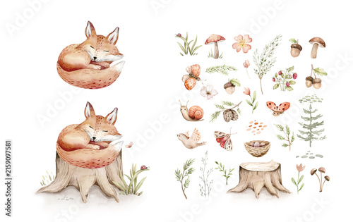 Watercolor cute sleeping babyfox animal. Woodland nursery isolated illustration for children. watercolour forest drawing, floral image. Perfect for kids posters, patterns
